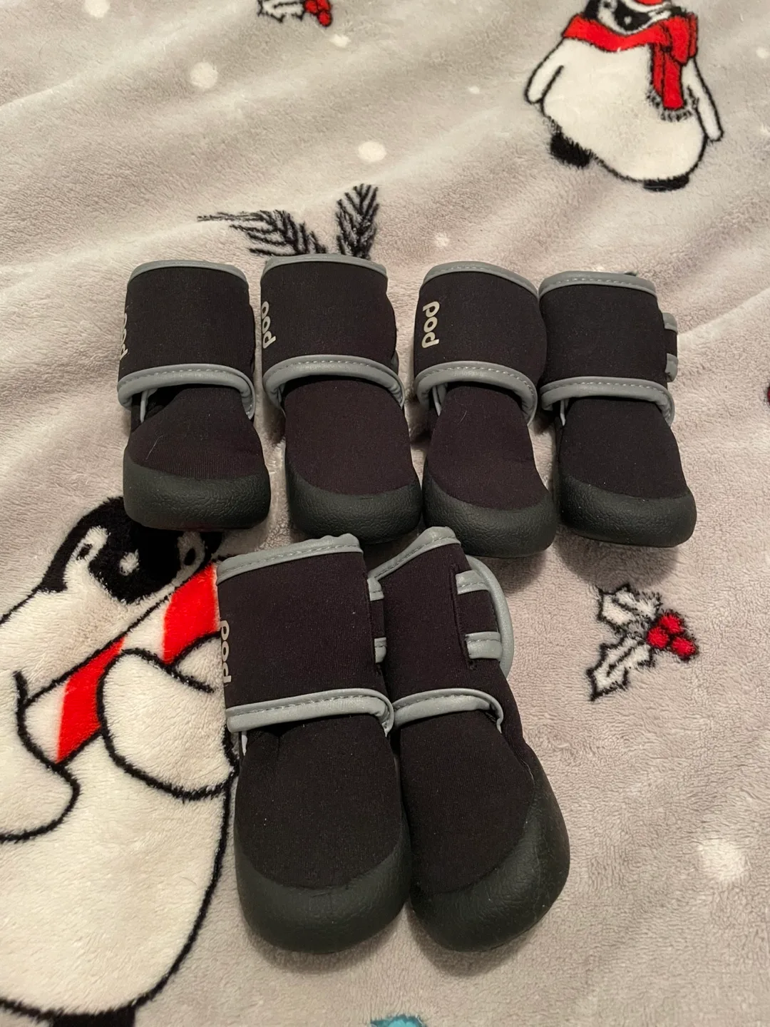 1.75” Dog Boots thumbnail