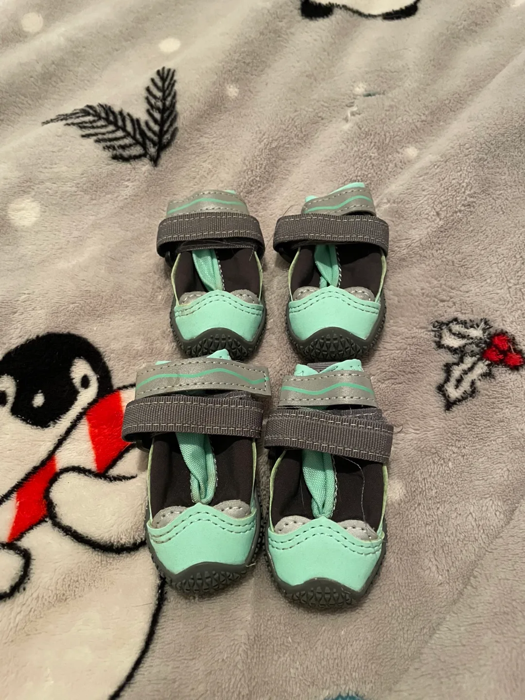 1.5” Dog Boots thumbnail