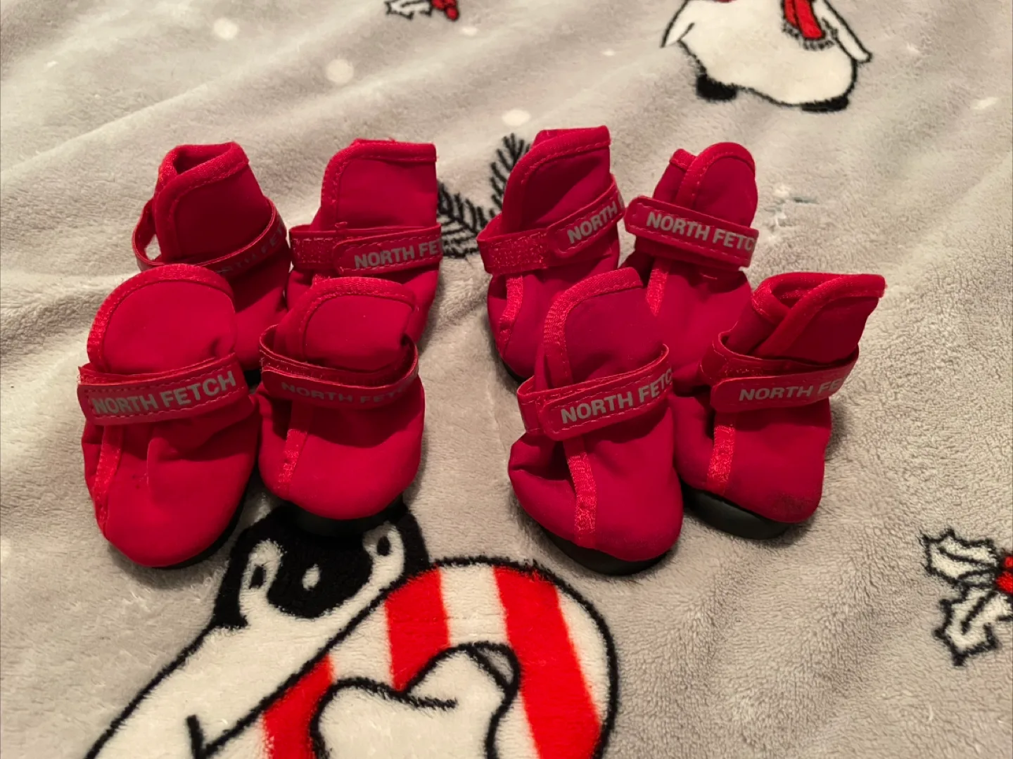 1.5” North Fetch Dog Boots ($5 Each Set) thumbnail