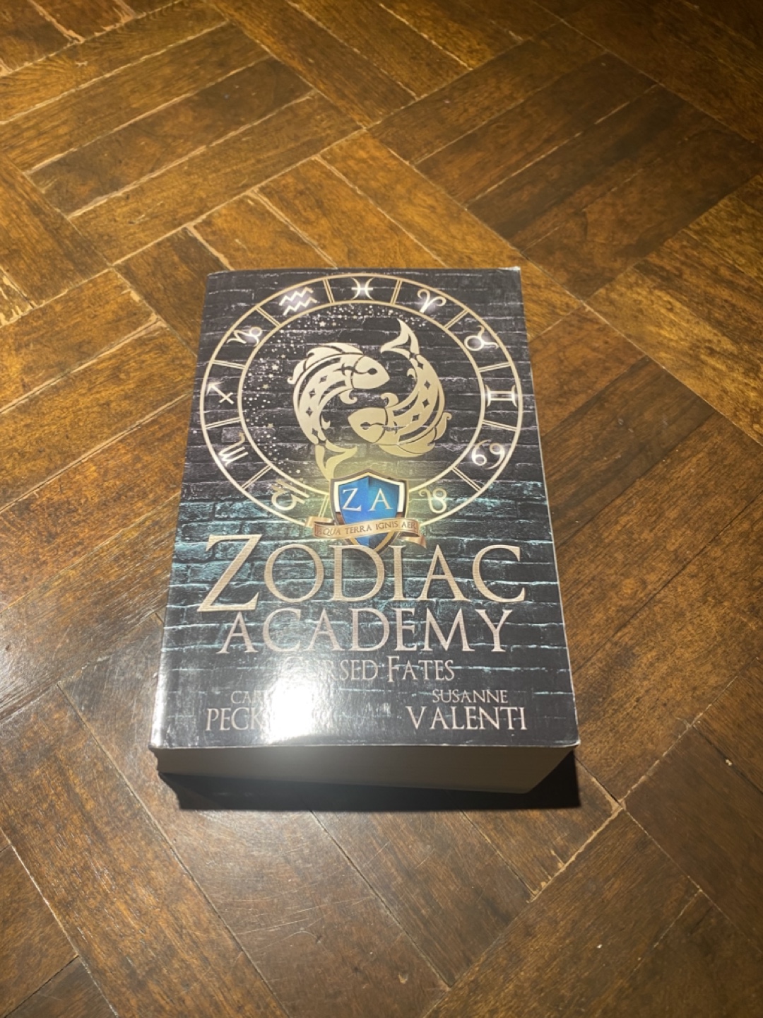 Zodiac Academy: Cursed Fates