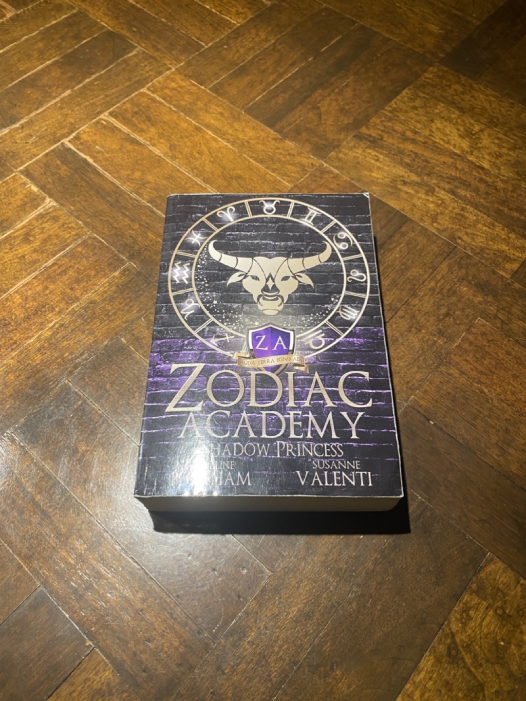 Zodiac Academy: Shadow Princess