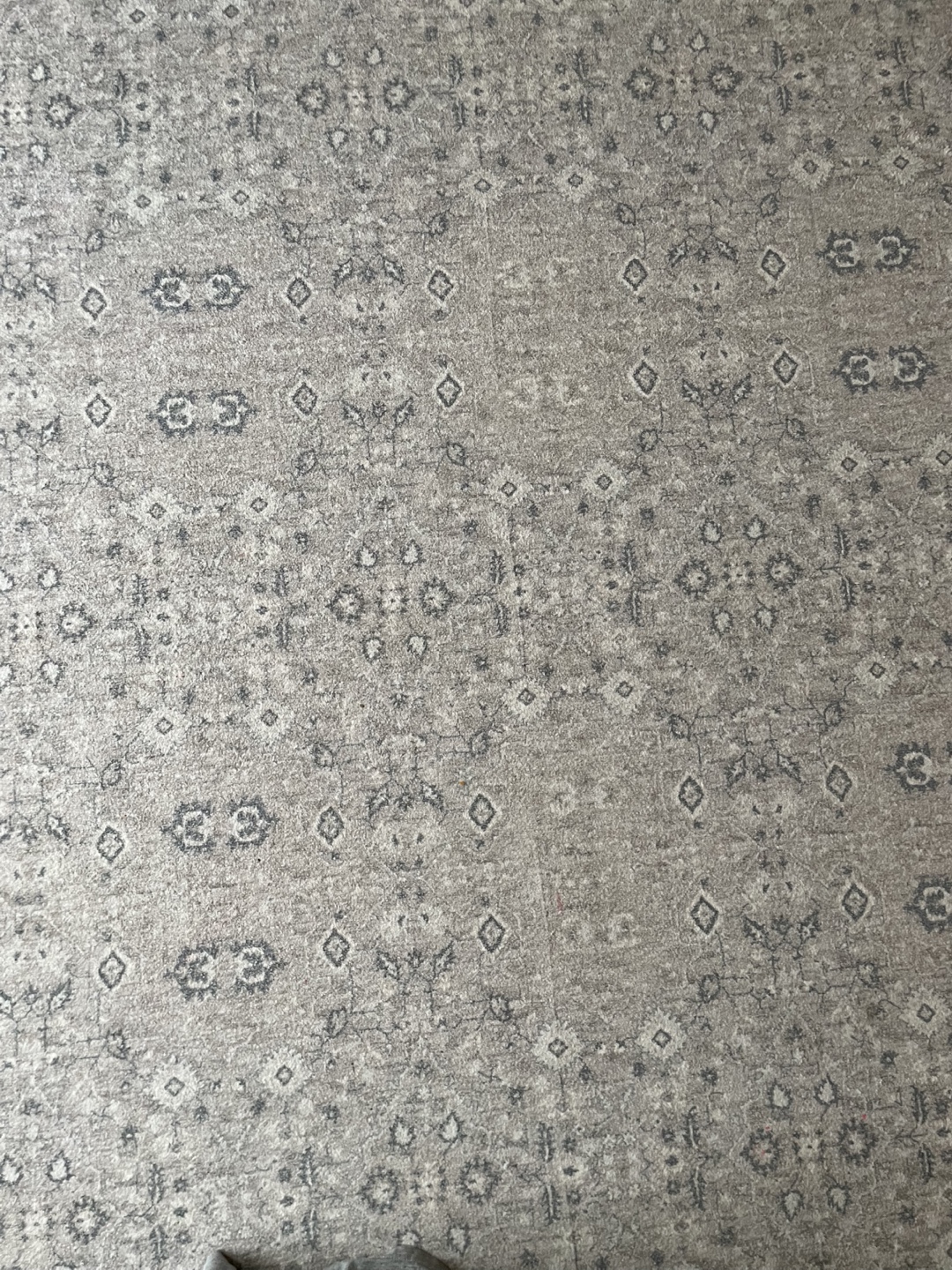 Area Rug - Neutral Pattern - photo 2