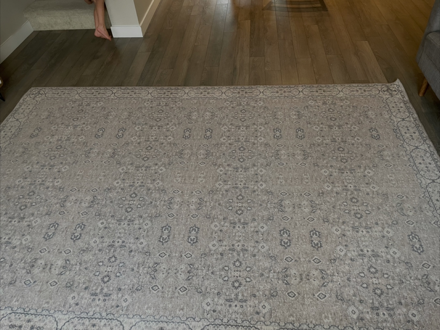 Area Rug - Neutral Pattern