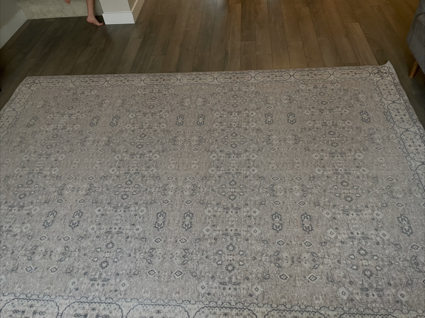 Area Rug - Neutral Pattern - photo 3