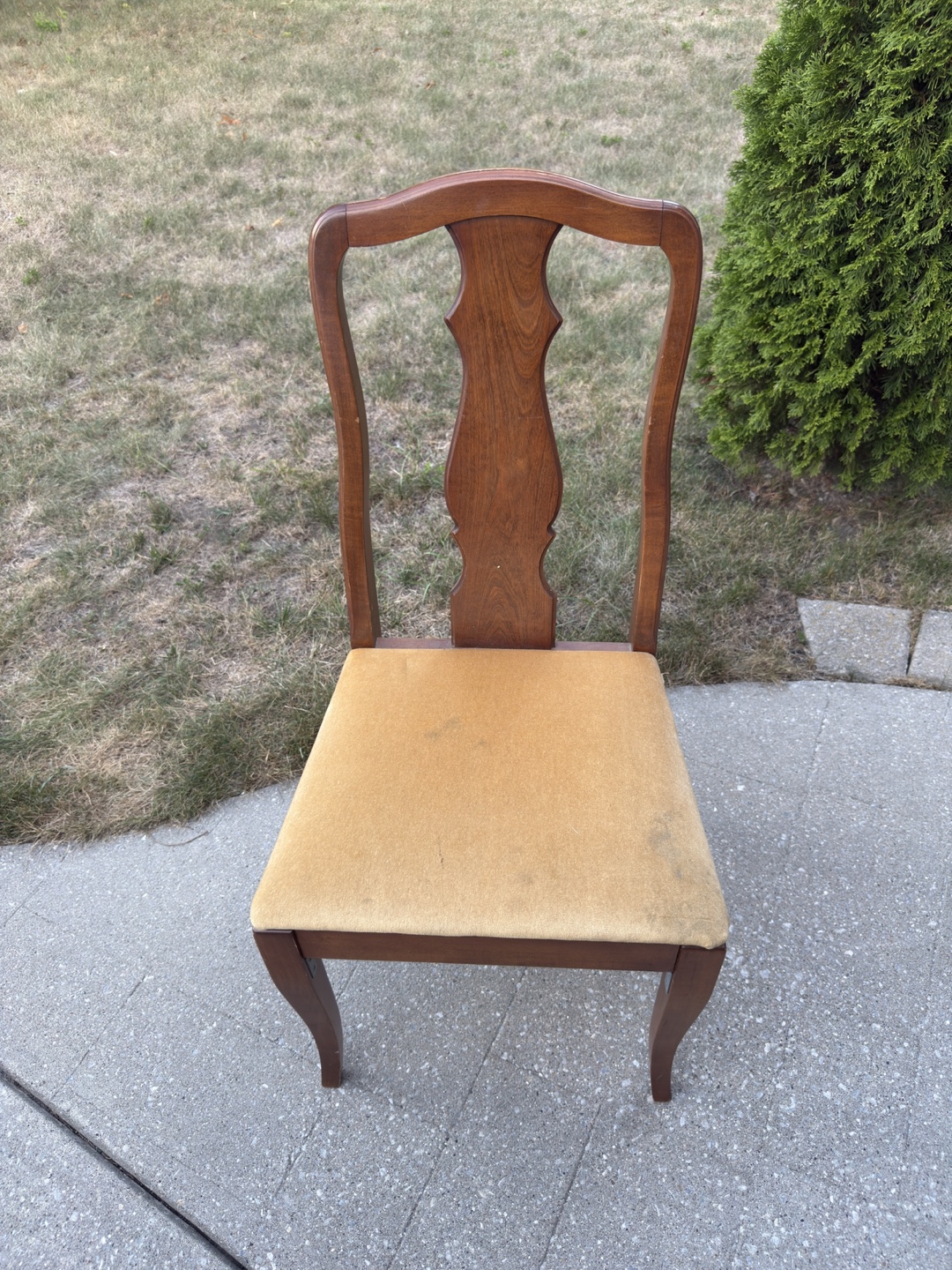Wooden Dining Chair