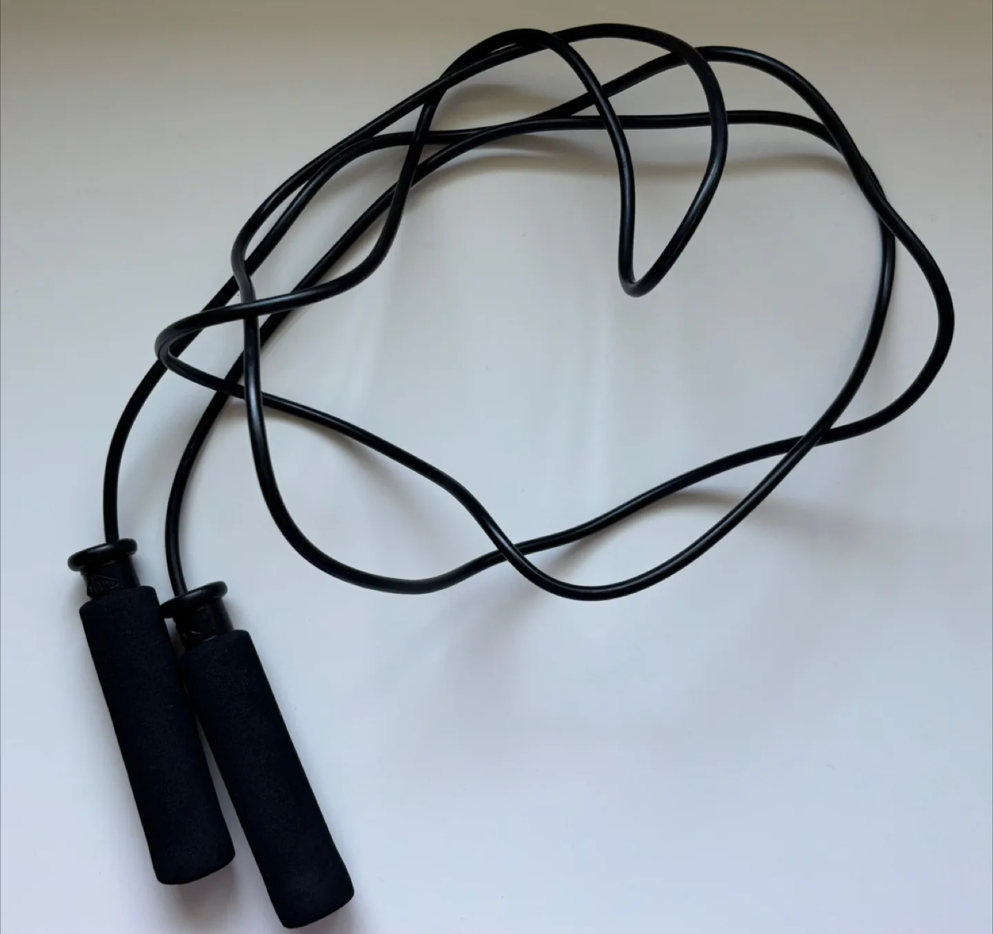 Everlast Jump Rope - Black image indicator(4)