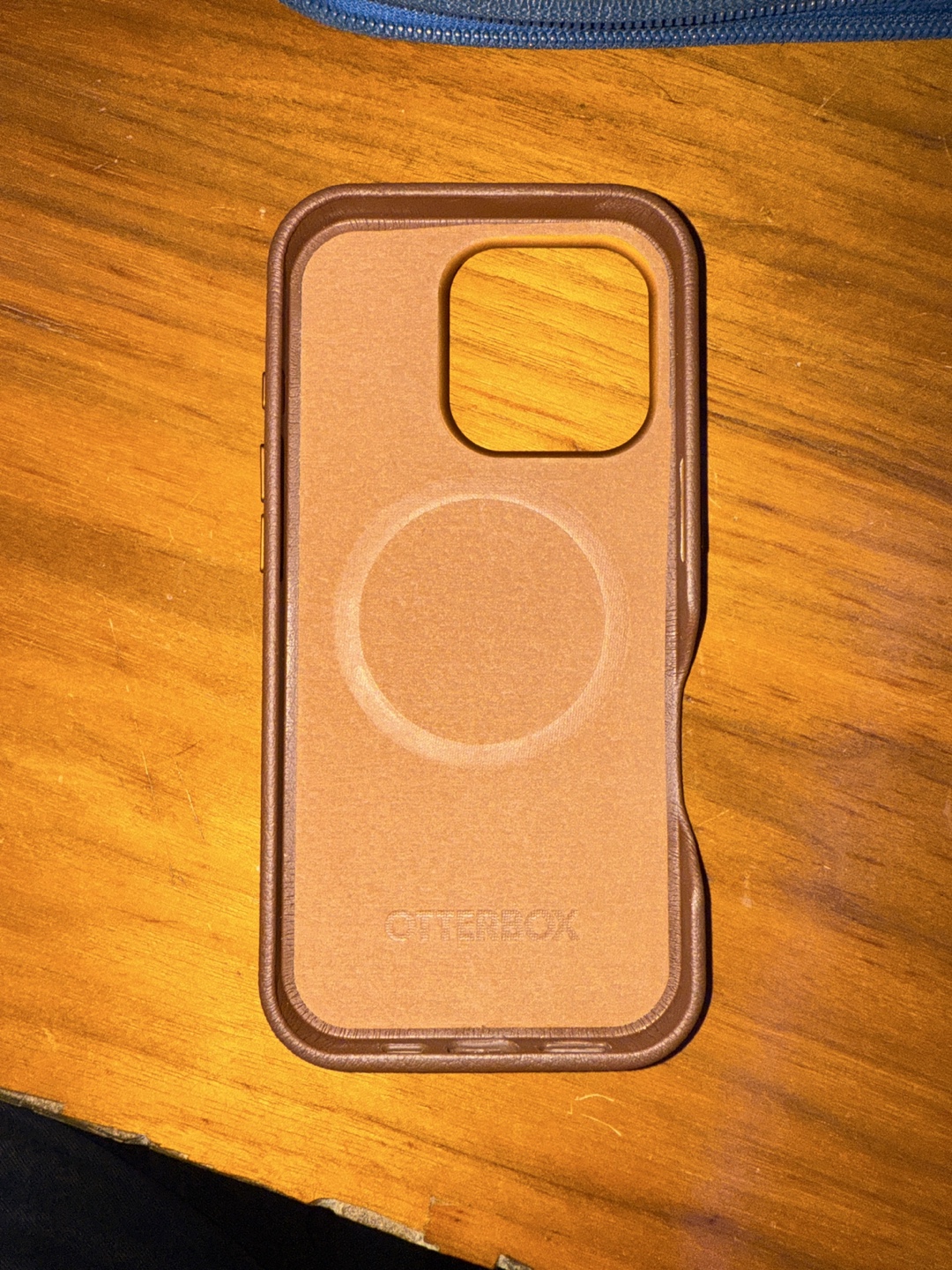FREE iPhone 16 Pro OtterBox Symmetry Series Cactus Leather Case - photo 3