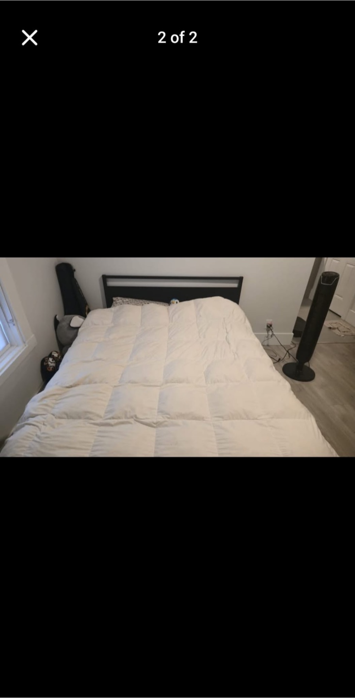 Queen Size Bed Frame and Comforter