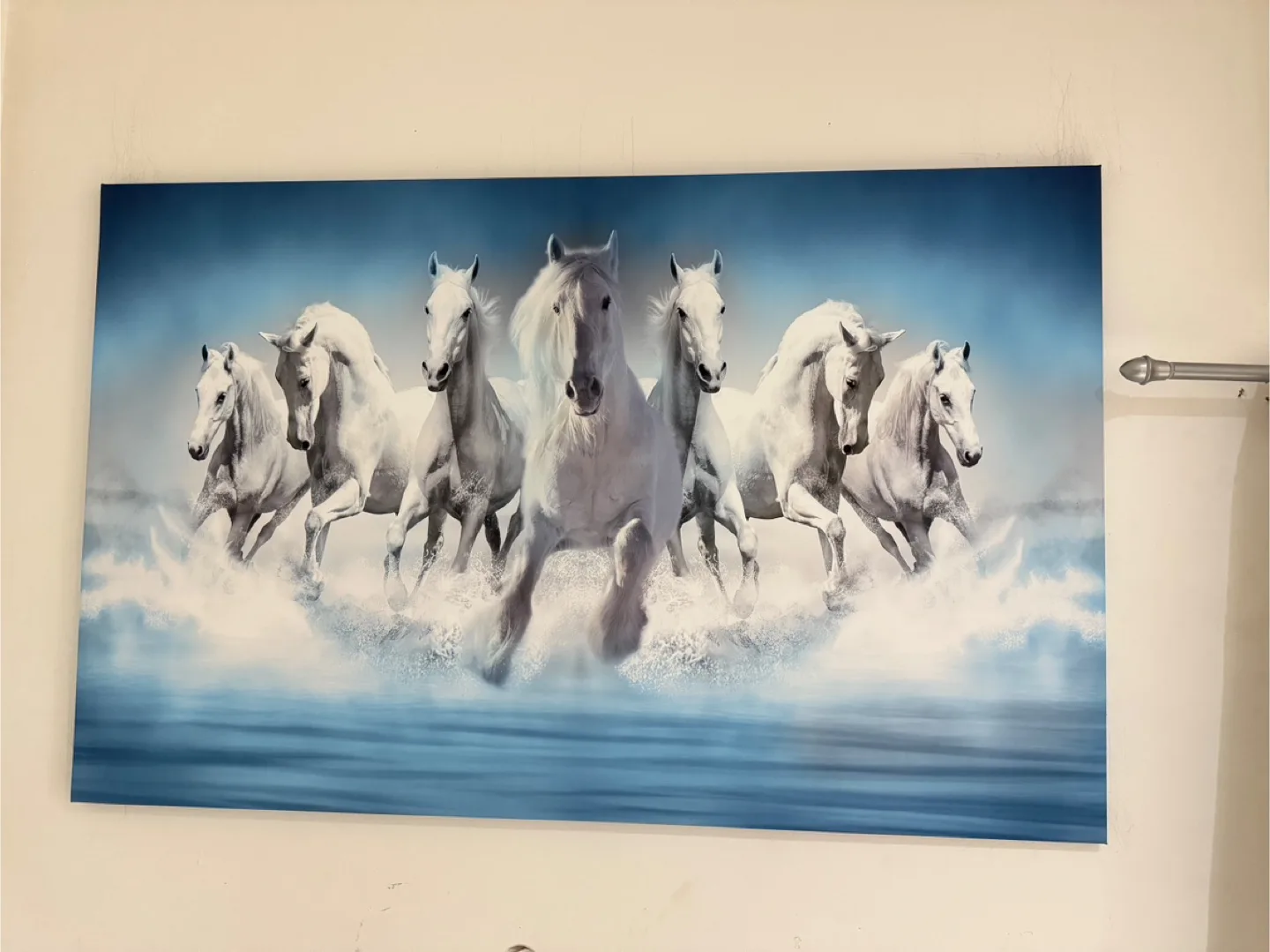 Home decoration/ Wall decoration/ Canvas painting image indicator(2)