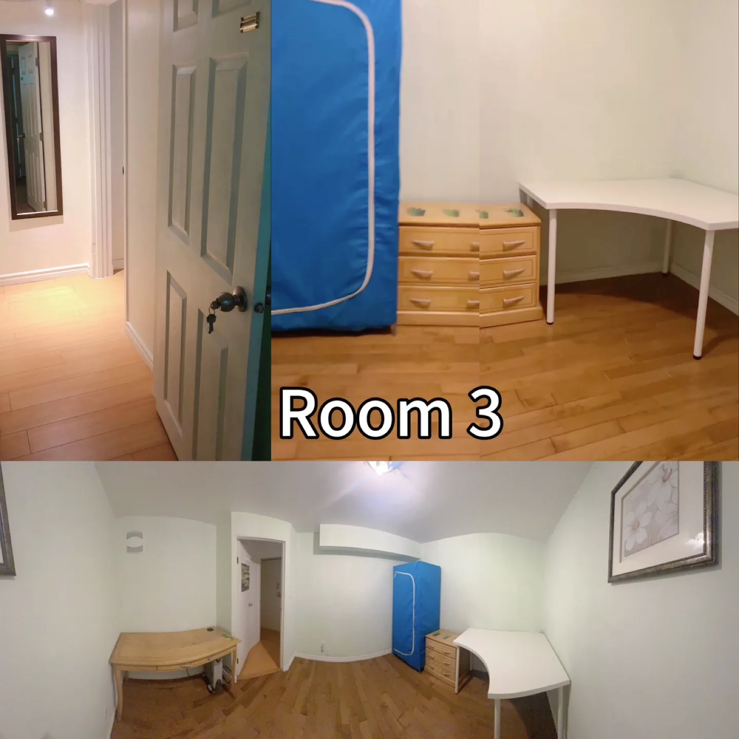 🏠 Half-Basement Rooms for Rent - Burnaby Mountain image indicator(4)