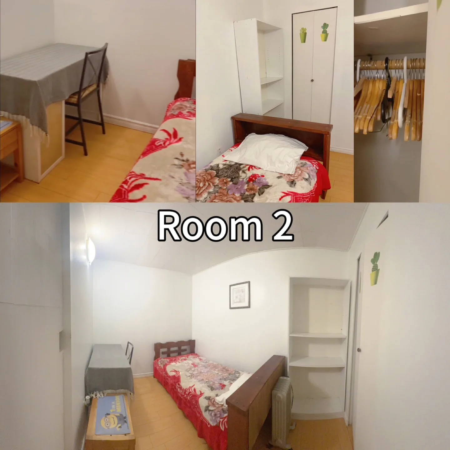 🏠 Half-Basement Rooms for Rent - Burnaby Mountain image indicator(3)