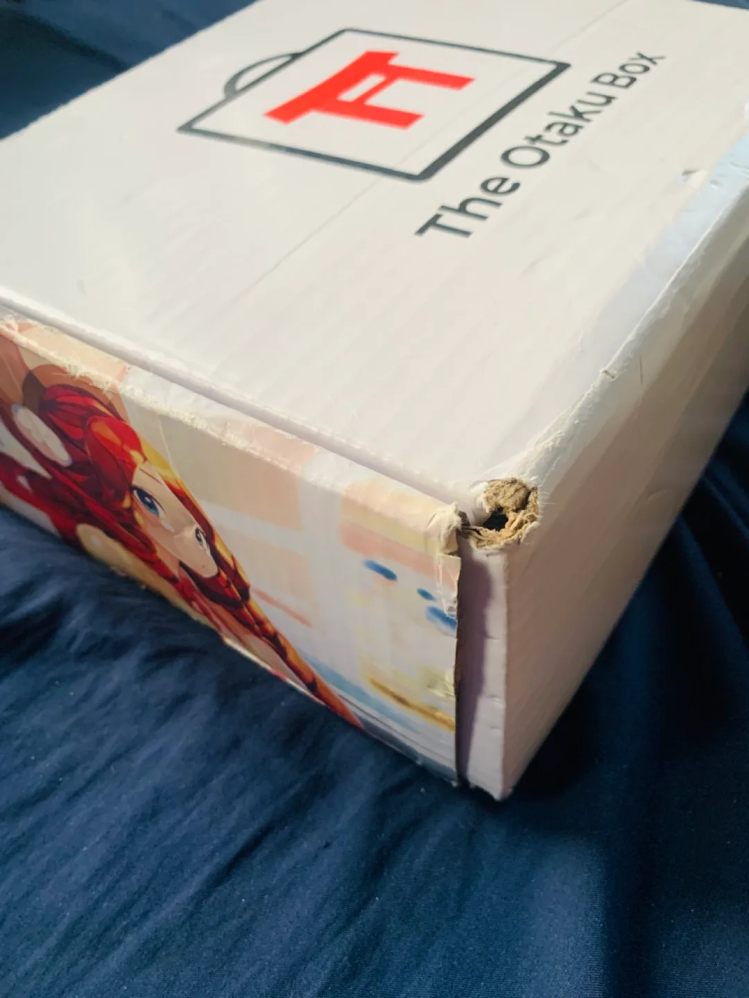 The Otaku Box• Christmas Princess Box image indicator(8)