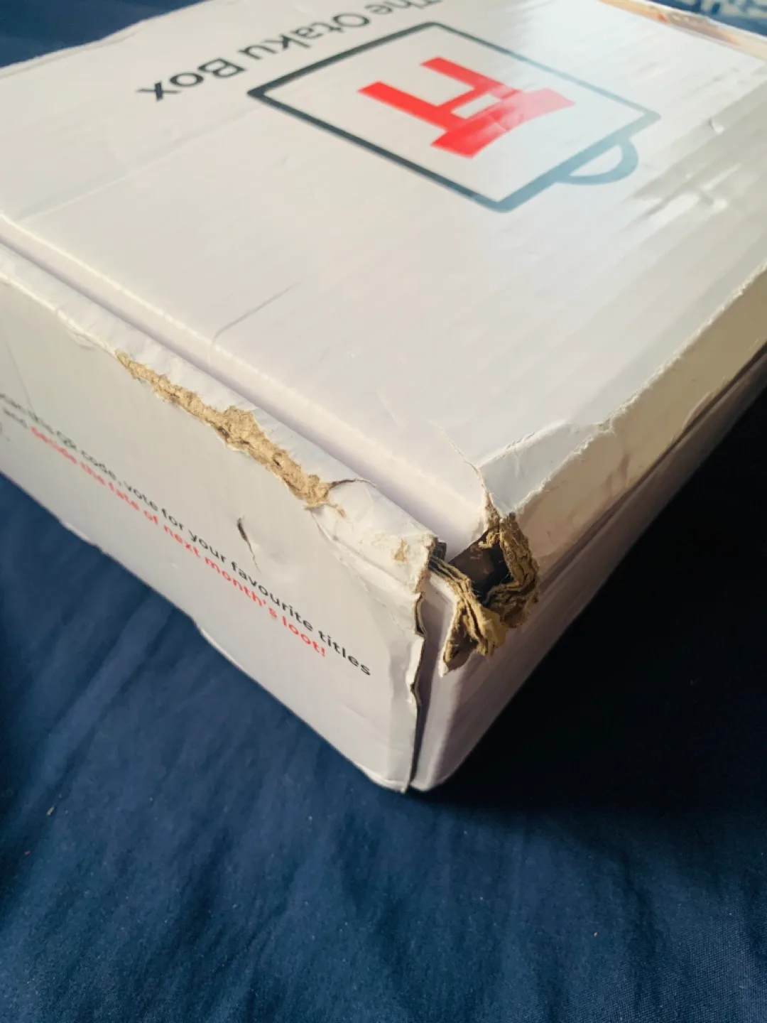 The Otaku Box• Christmas Princess Box image indicator(9)