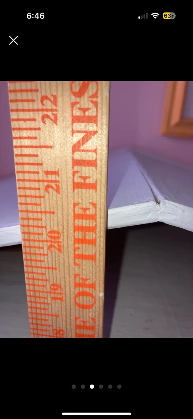 Furnished Dollhouse image indicator(4)