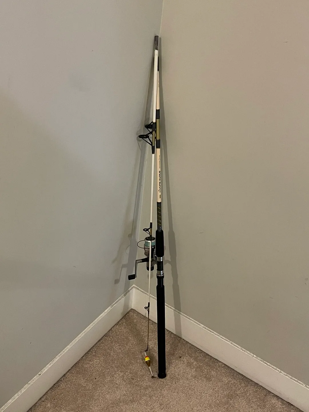 Zebco White Rhino Saltwater Fishing Rod + Quantum XG3 Reel image indicator(10)