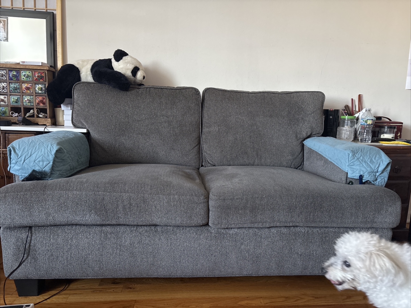 Gray Sofa