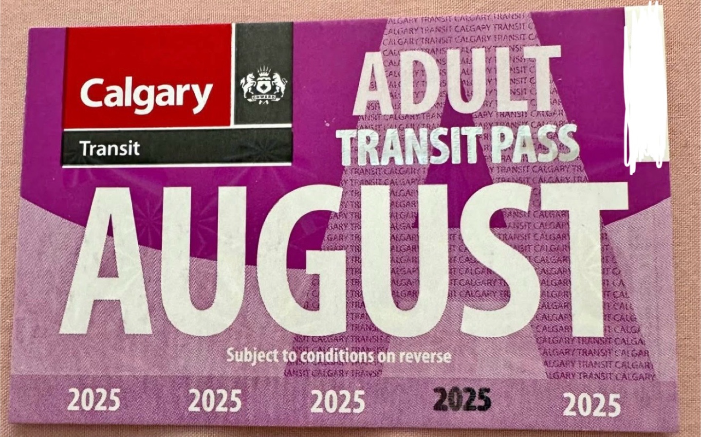 August bus pass