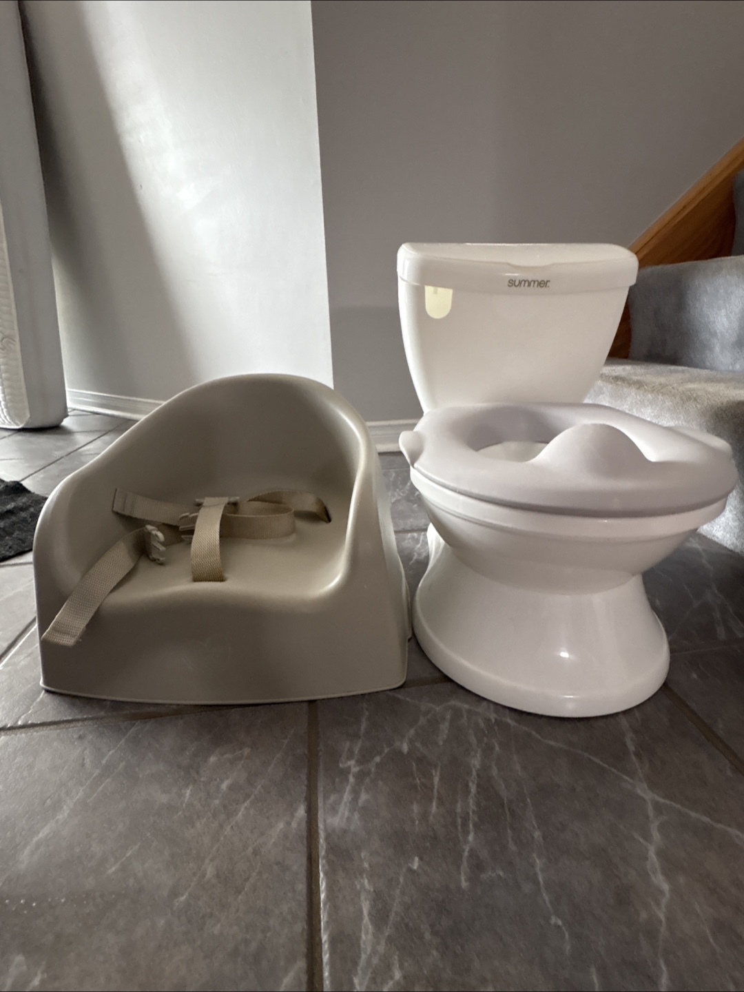 Infant Potty and Booster Seat