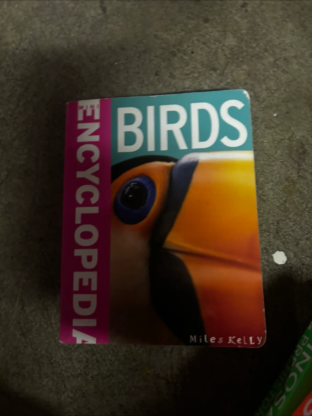 Miles Kelly Encyclopedia Books image indicator(5)