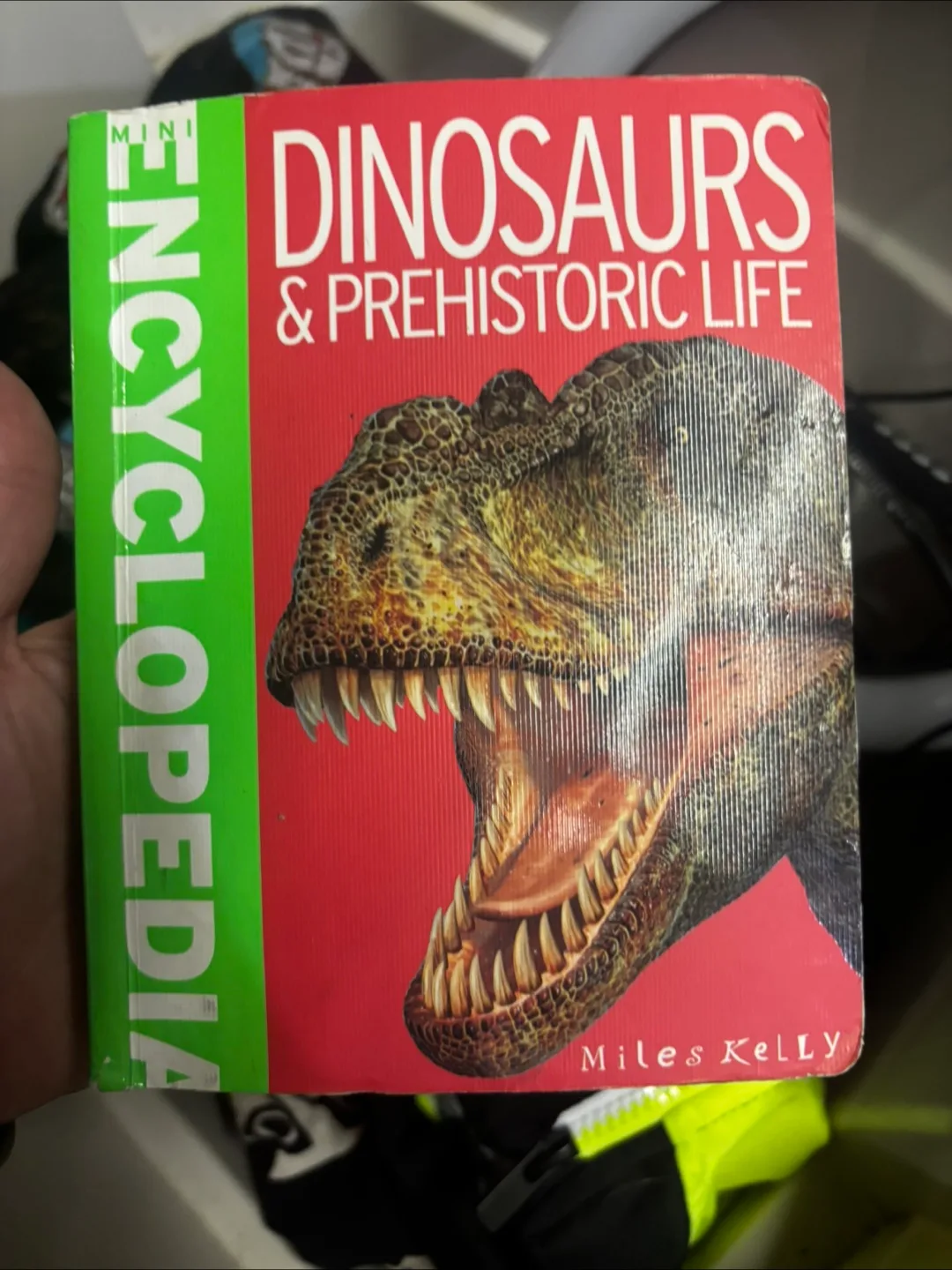 Miles Kelly Encyclopedia Books image indicator(3)