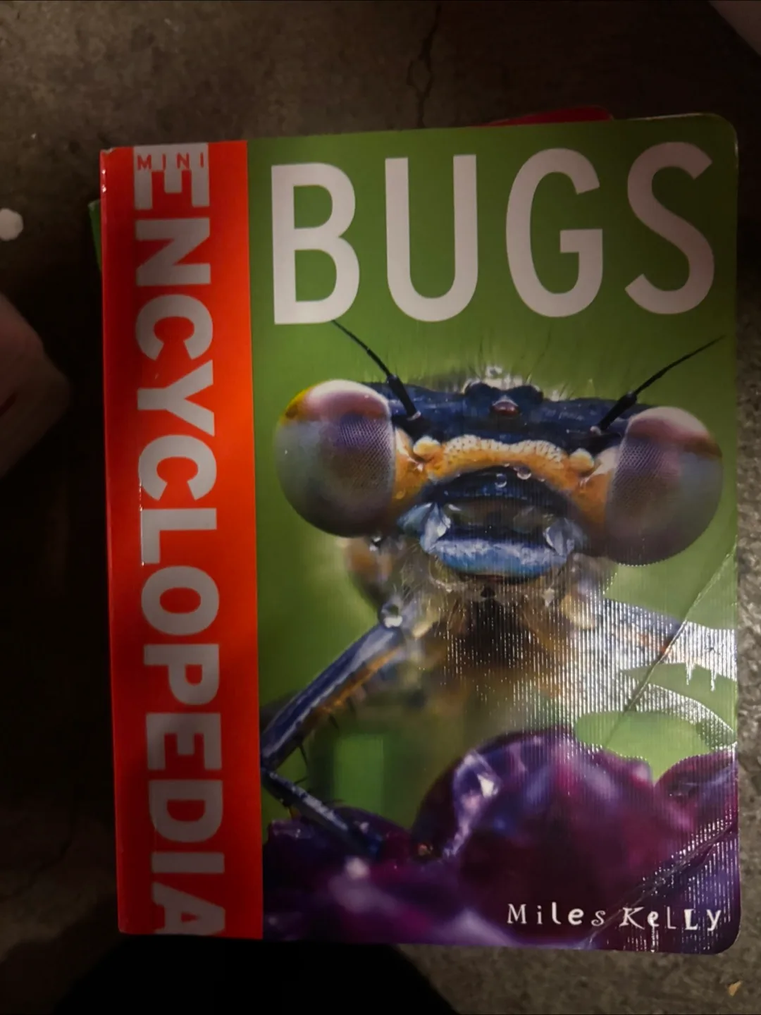 Miles Kelly Encyclopedia Books image indicator(2)