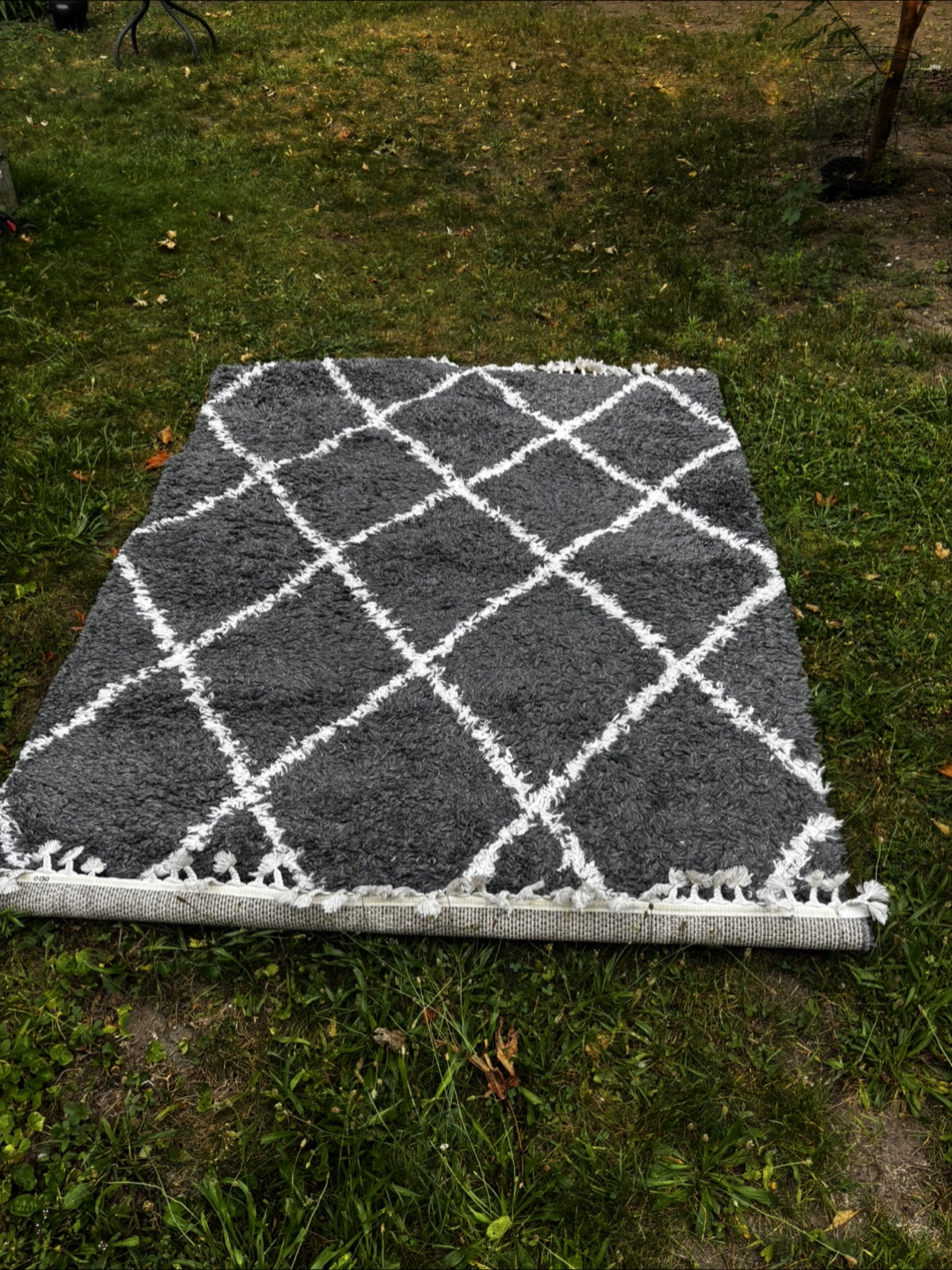nicole miller NEW YORK Rug 5'2" x 7'2"