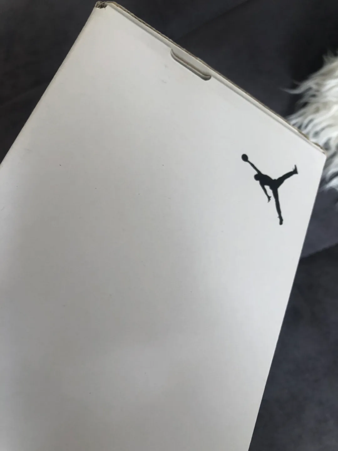 Jordan Zion 1 Size 8 US image indicator(7)