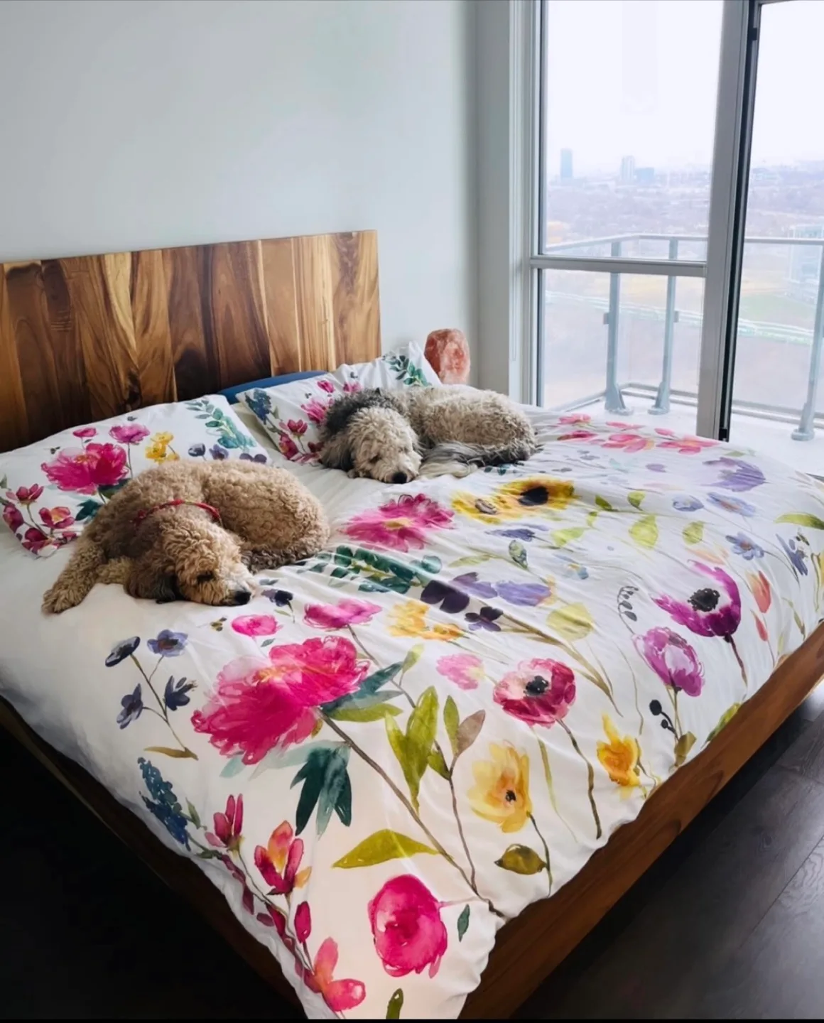 Artemano King Size Bed - Natural Suar Wood image indicator(4)