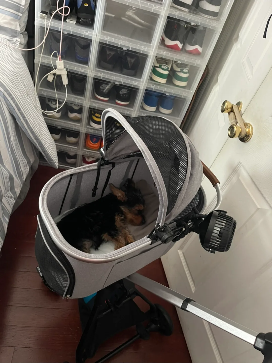 Dog/Cat Stroller - Gray image indicator(4)
