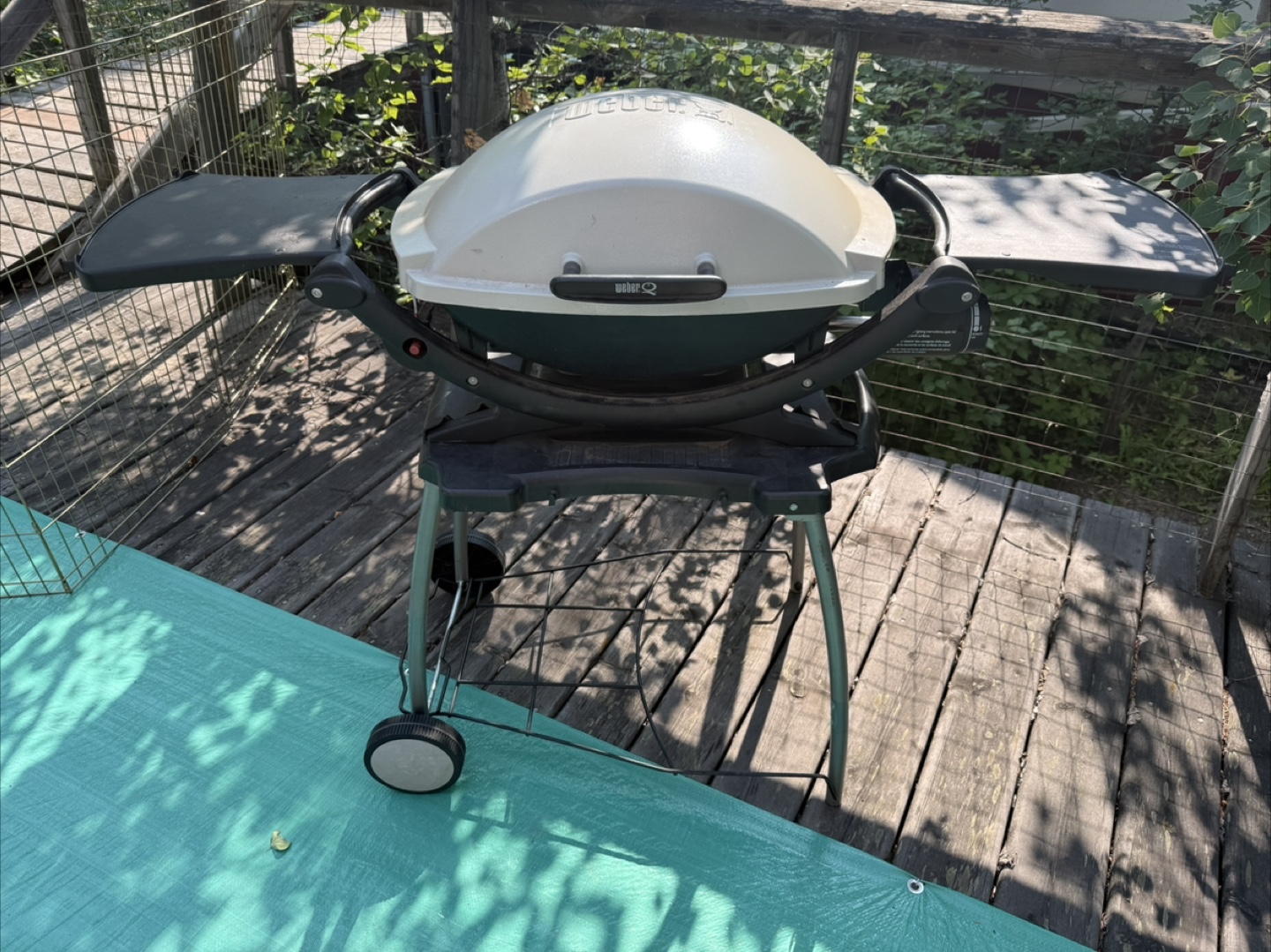 Weber Q Portable Gas Grill