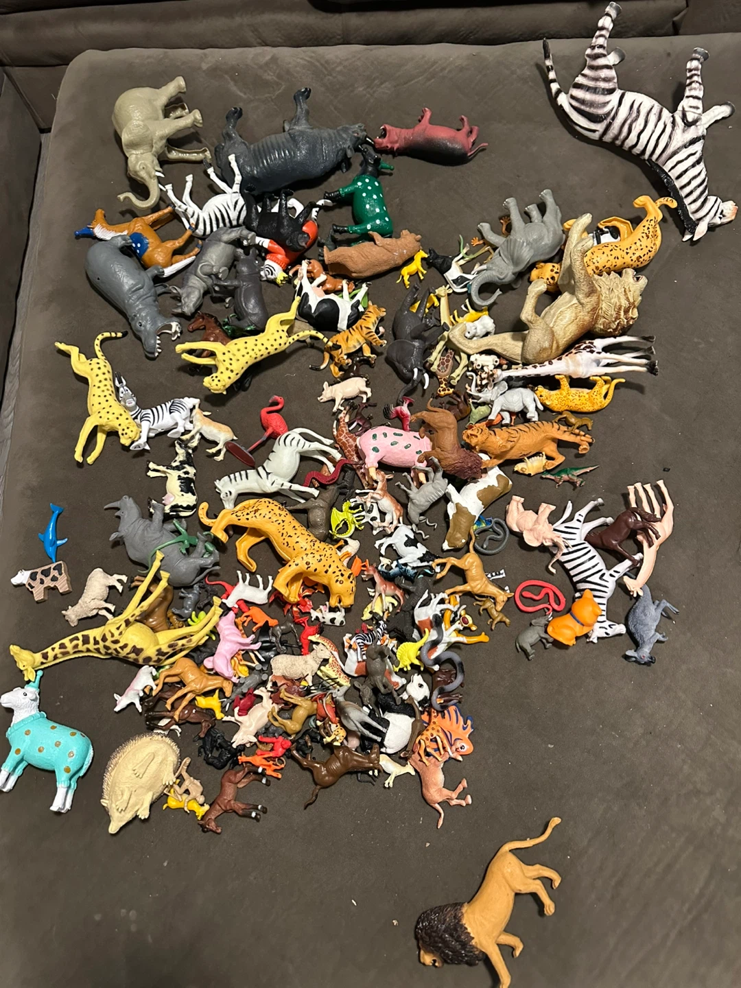 Toy Animals