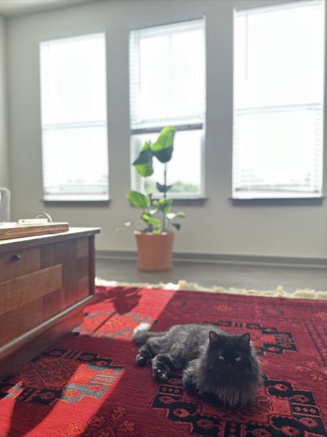 Red Persian Rug - photo 2
