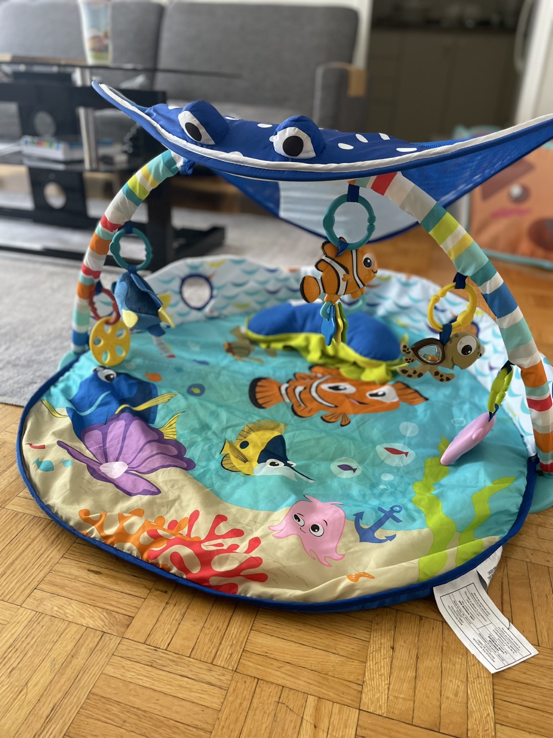 Disney Baby Finding Nemo Activity Gym - photo 2