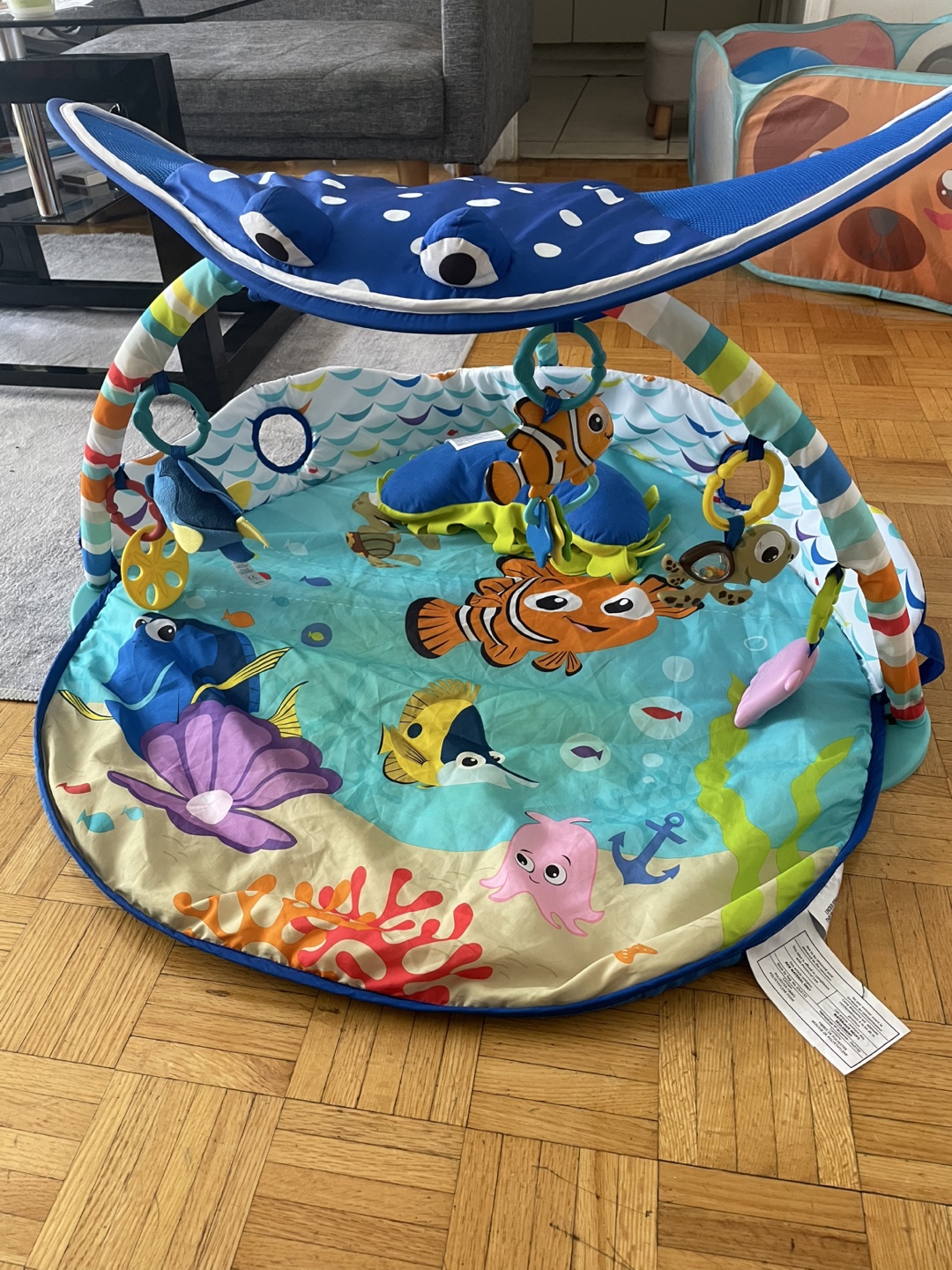 Disney Baby Finding Nemo Activity Gym