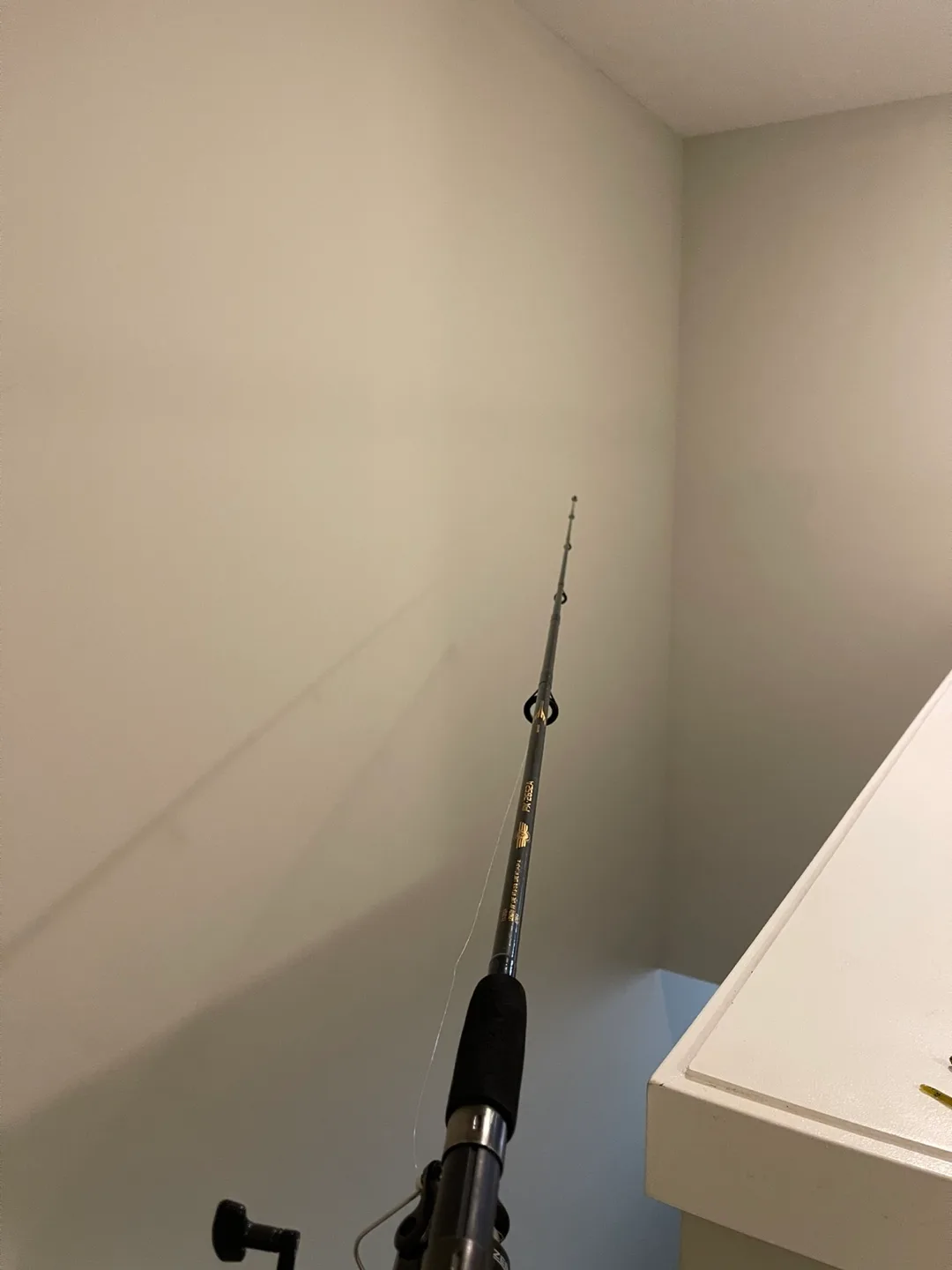 Shimano Fishing Rod + Zebco Reel image indicator(6)