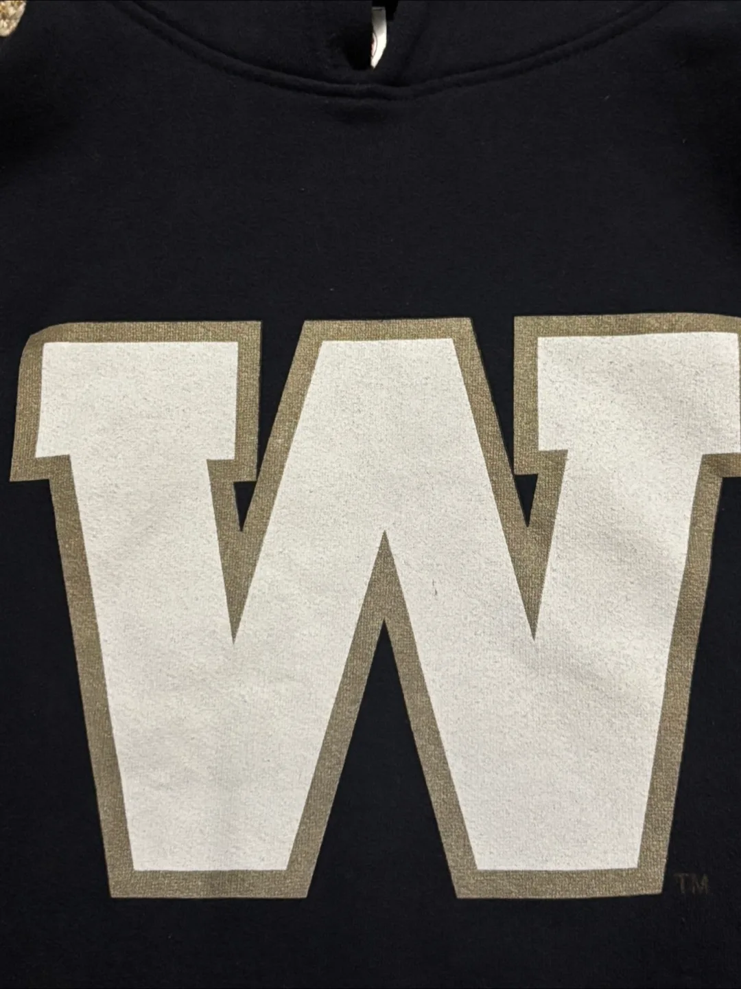 Winnipeg  Blue Bombers Hoodie  (see pictures for measurements) image indicator(3)