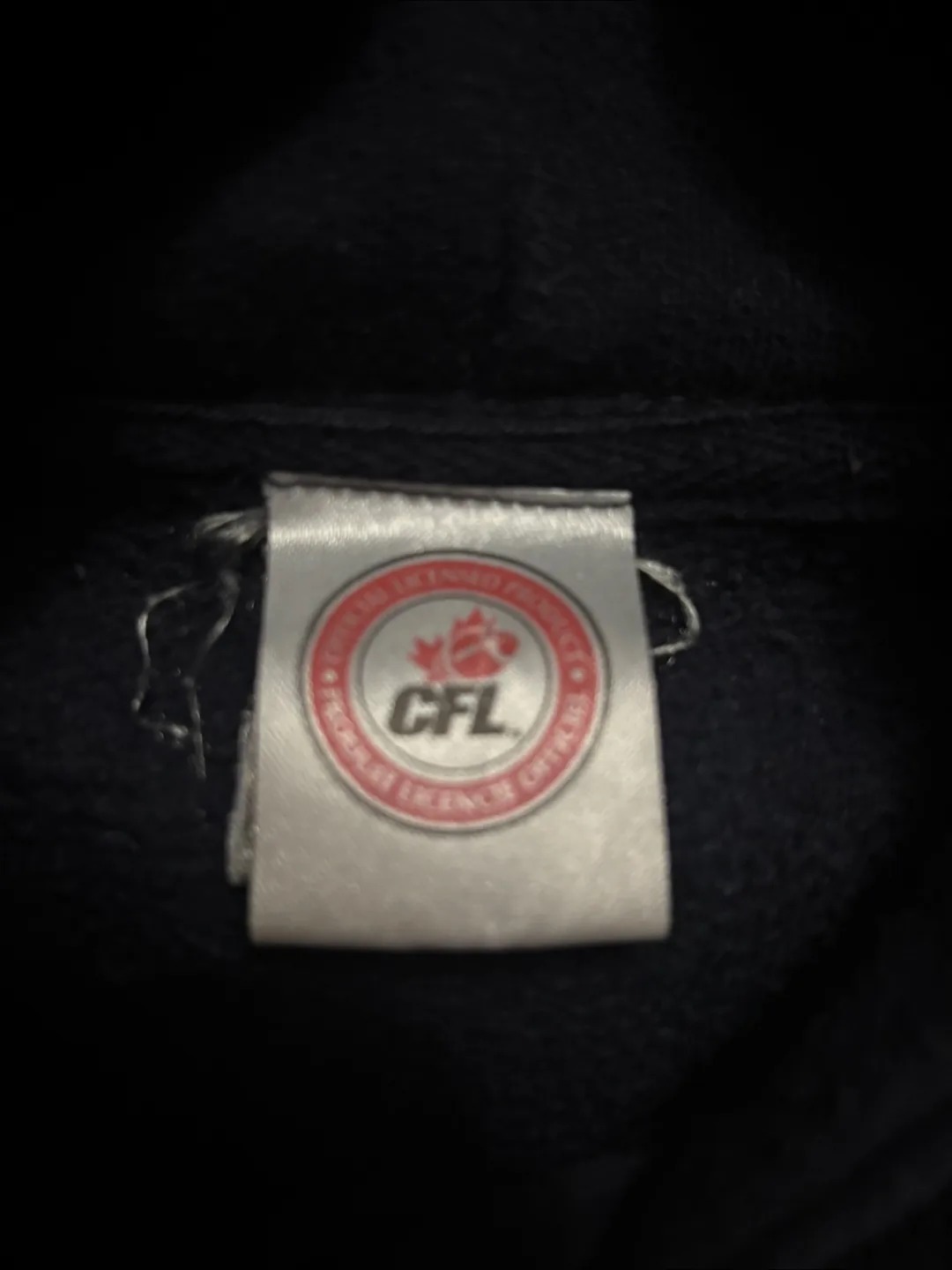 Winnipeg  Blue Bombers Hoodie  (see pictures for measurements) image indicator(4)