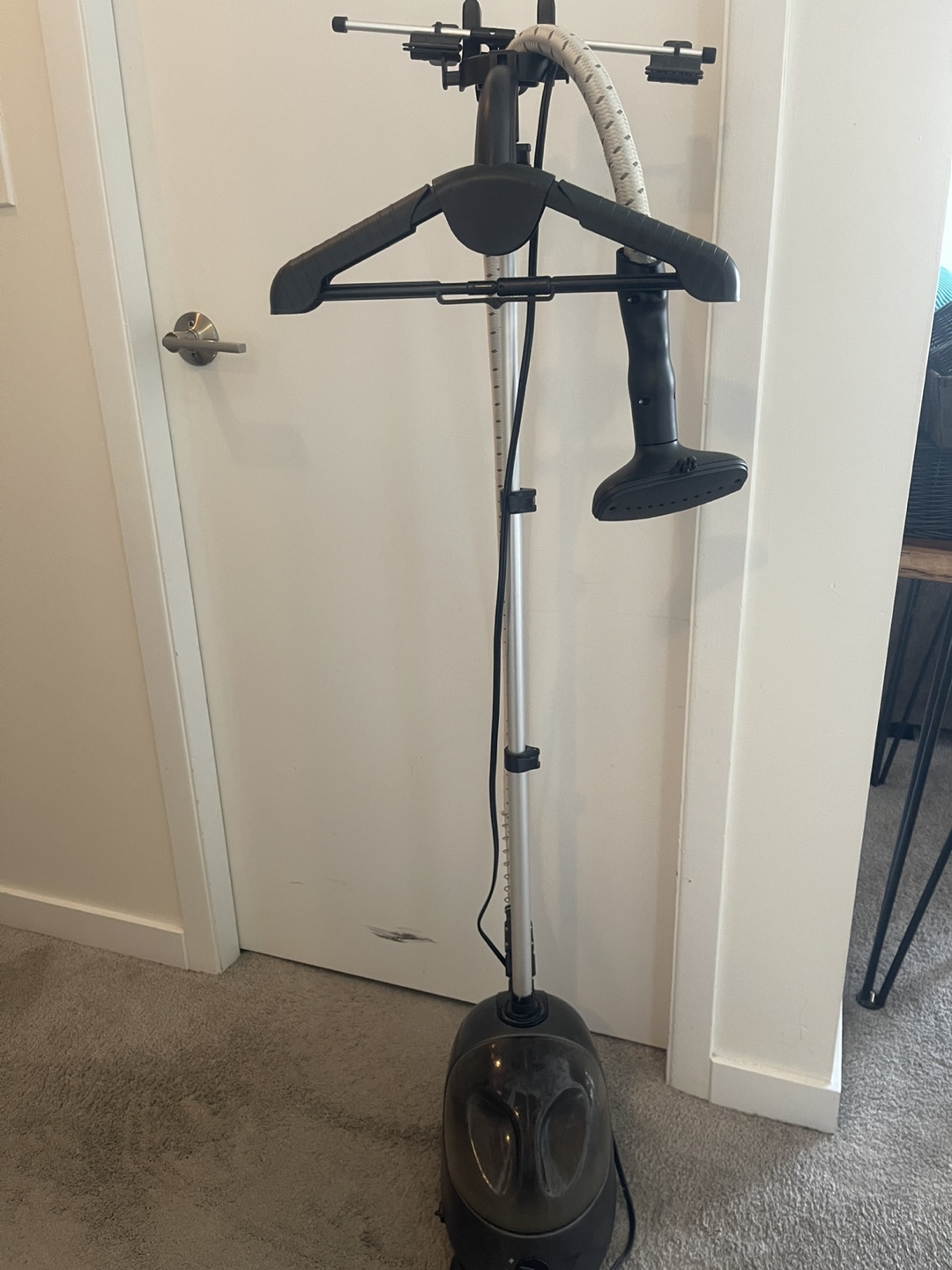 Garment Steamer