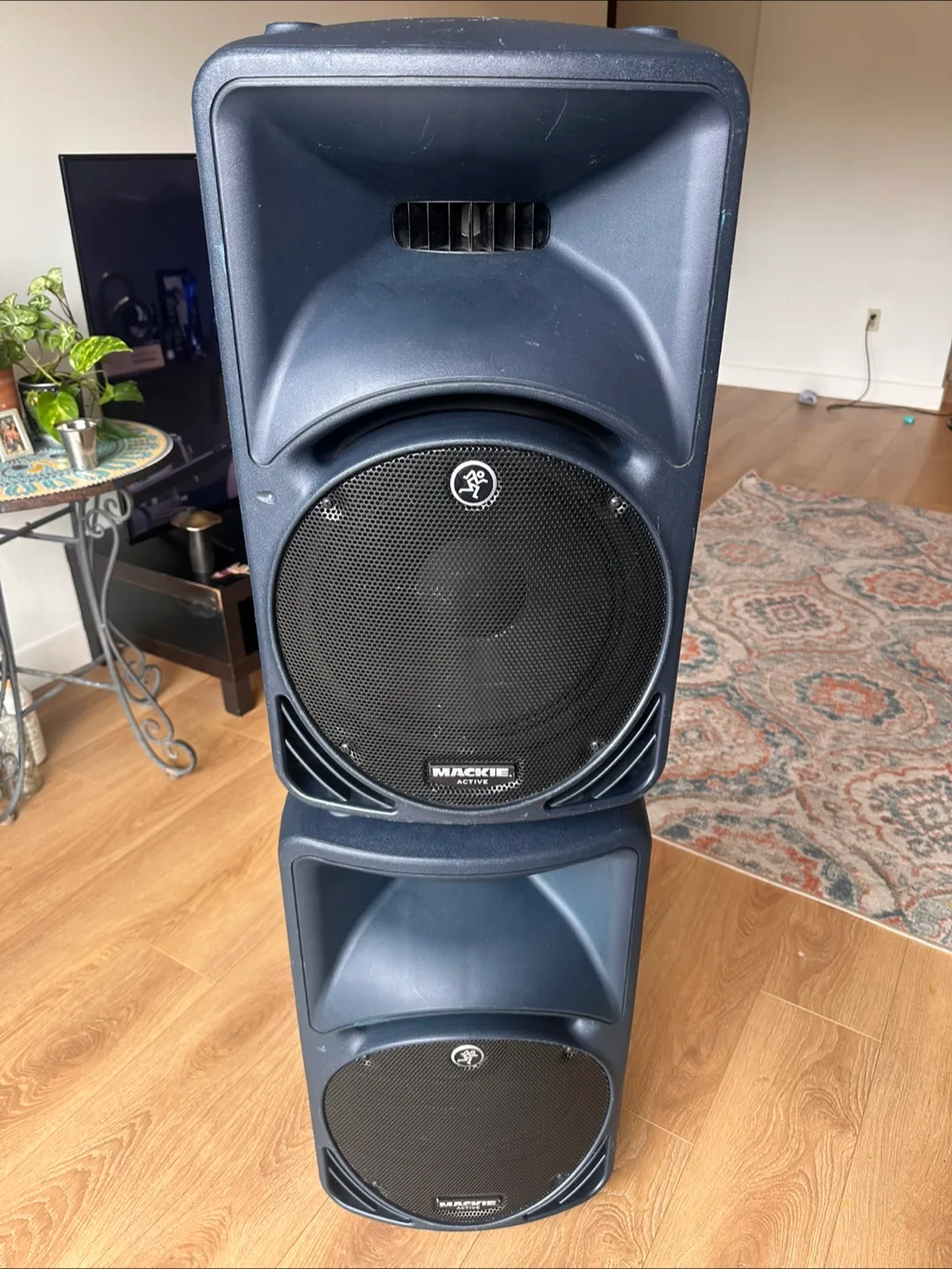 Mackie Pair SRM450 V2 Active Loudspeakers - Pair image indicator(2)