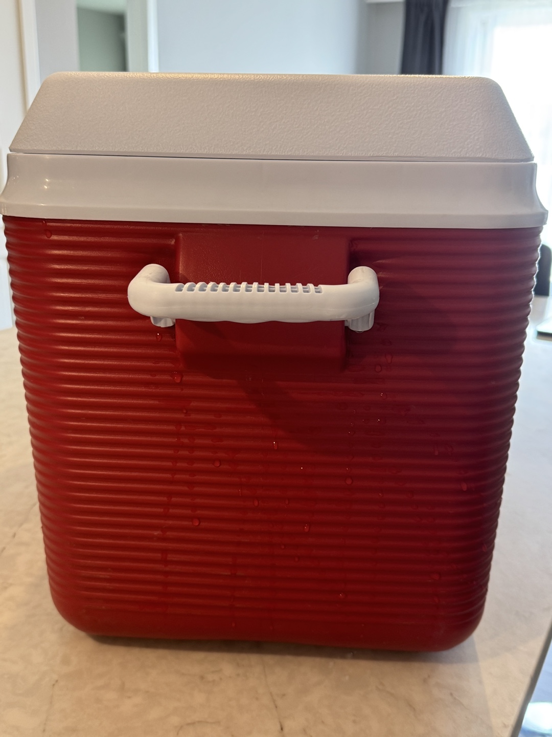 Rubbermaid Red Cooler - photo 3