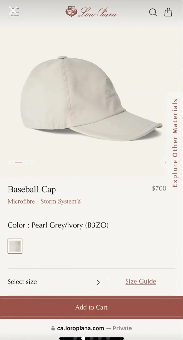 100% authentic Loro Piana cap image indicator(2)