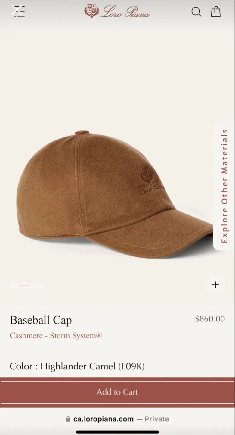 100% authentic cashmere Loro Piana cap image indicator(2)