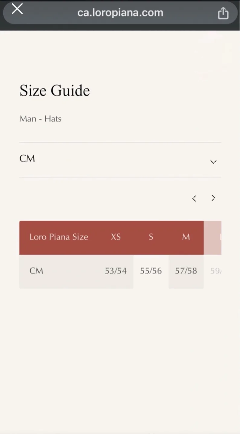 100% authentic cashmere Loro Piana cap image indicator(3)