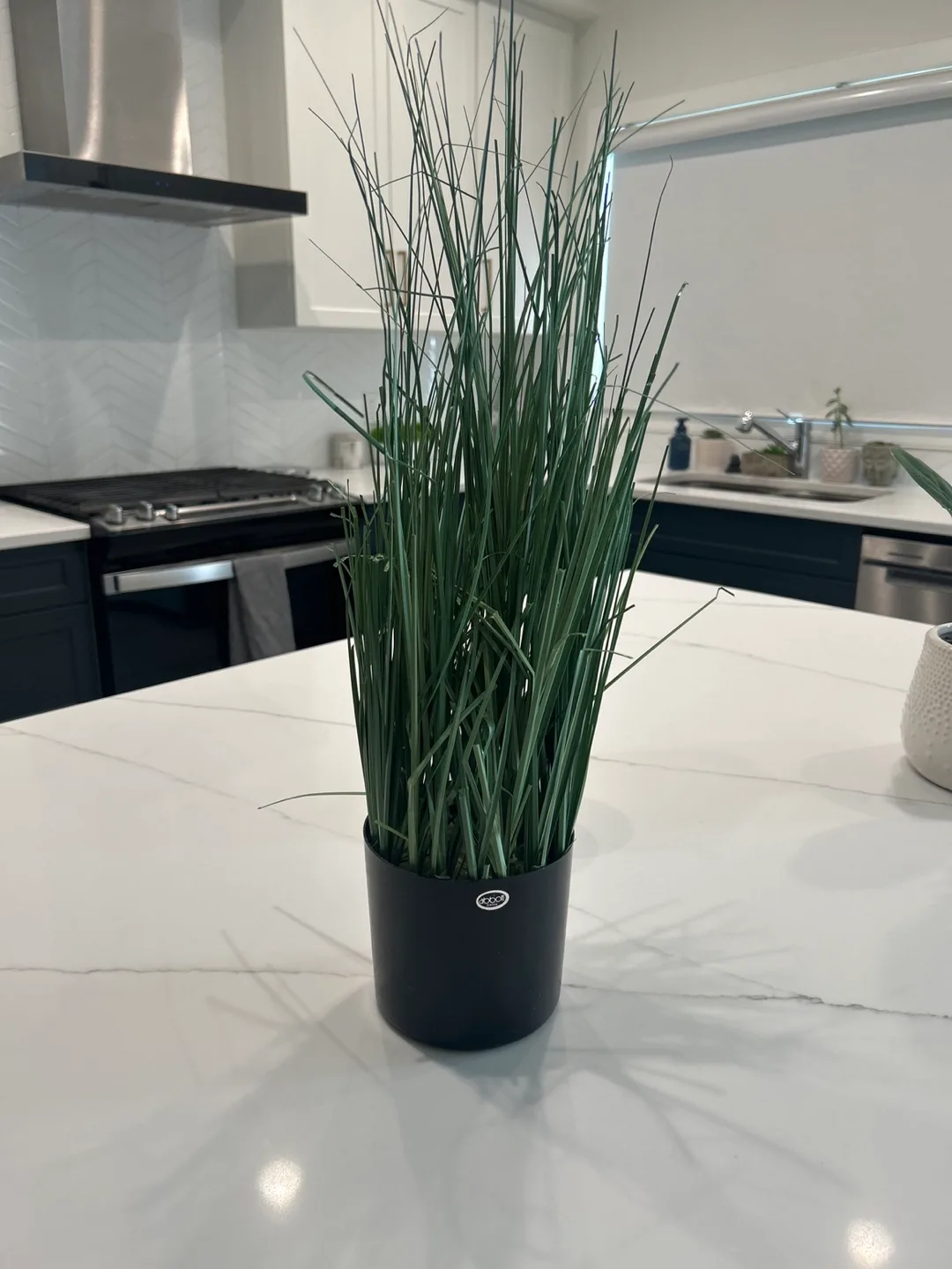 Faux Green Grass Plant in Black Pot thumbnail
