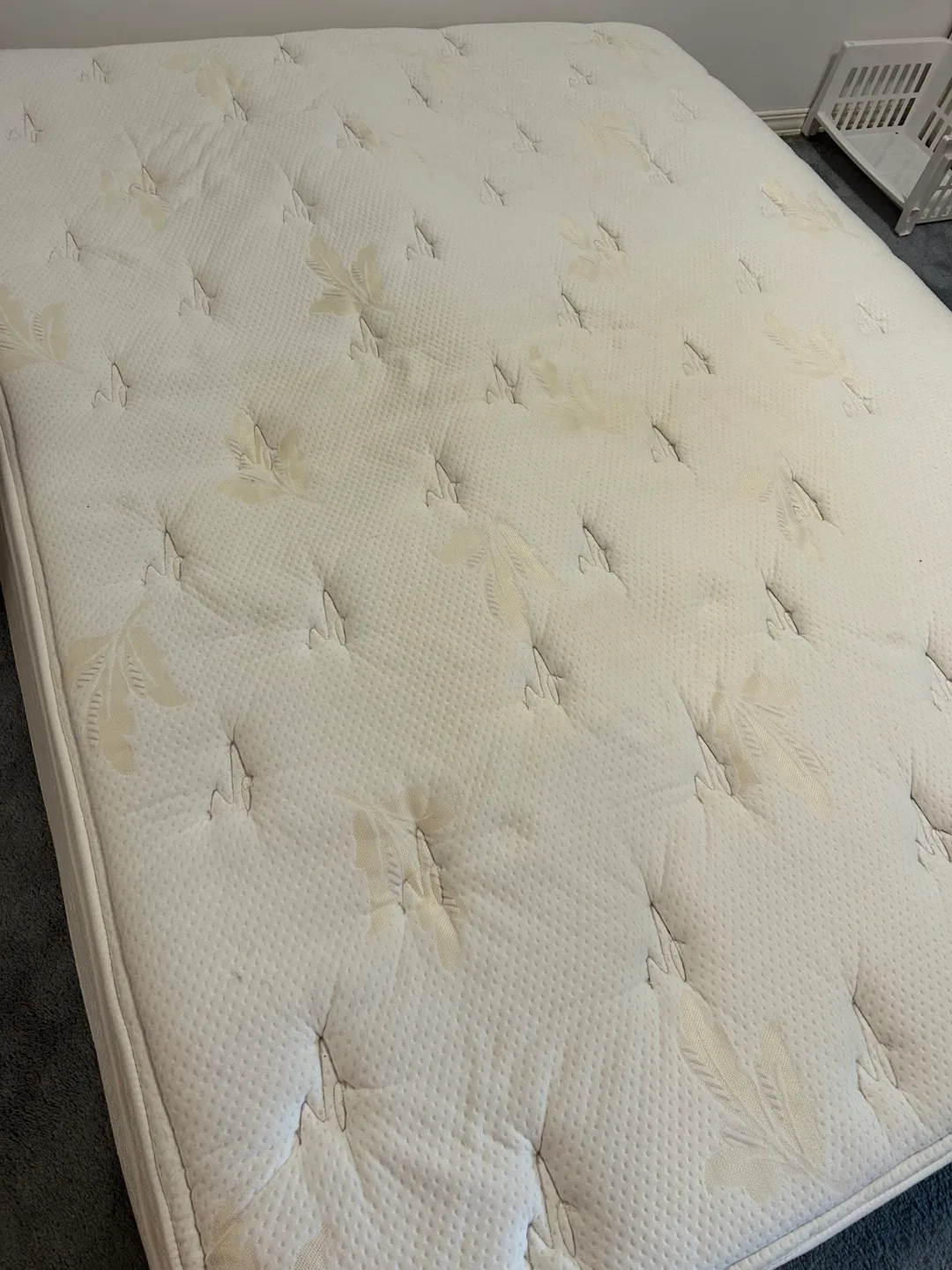 Free QUEEN Mattress image indicator(4)