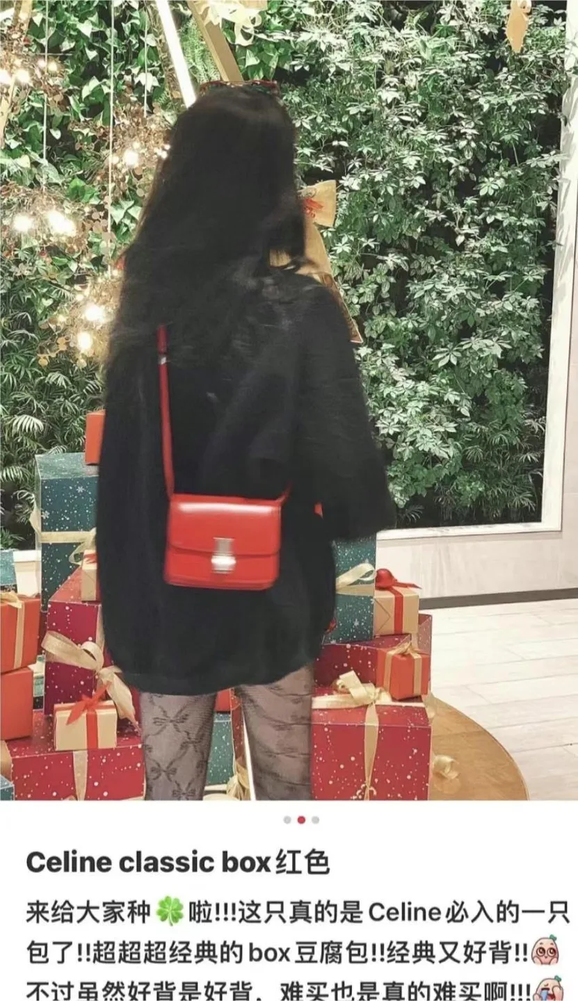 100% Authentic Celine mini box crossbody bag image indicator(8)