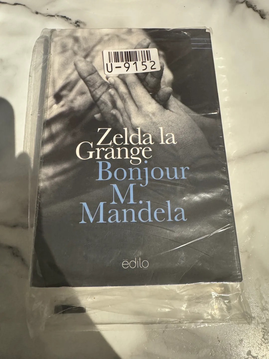 Bonjour M. Mandela by Zelda la Grange book thumbnail