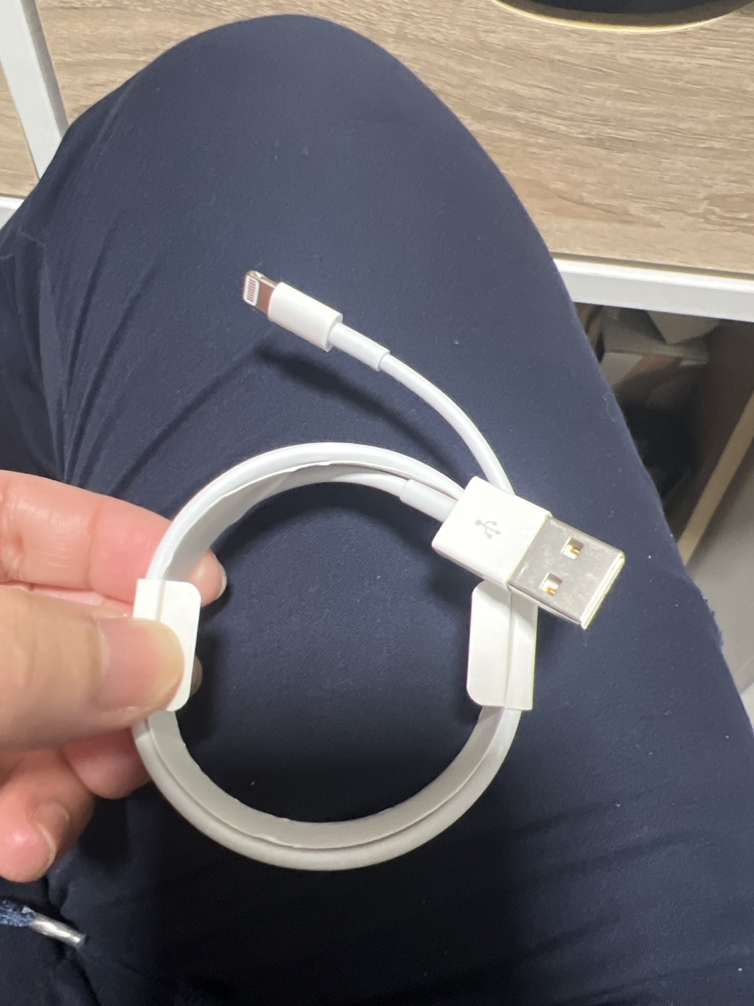Apple Charging Cable - photo 2