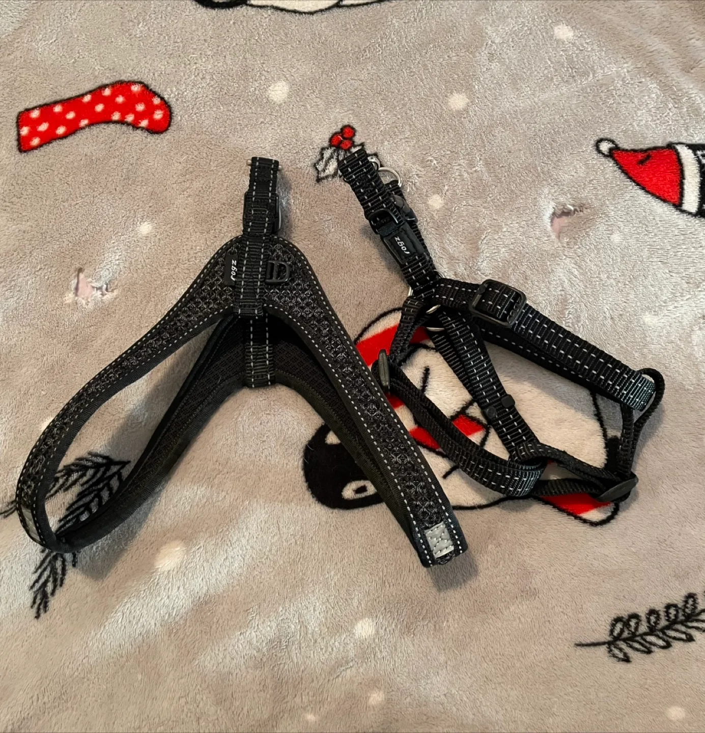 Small Dog Harnesses Rogz thumbnail