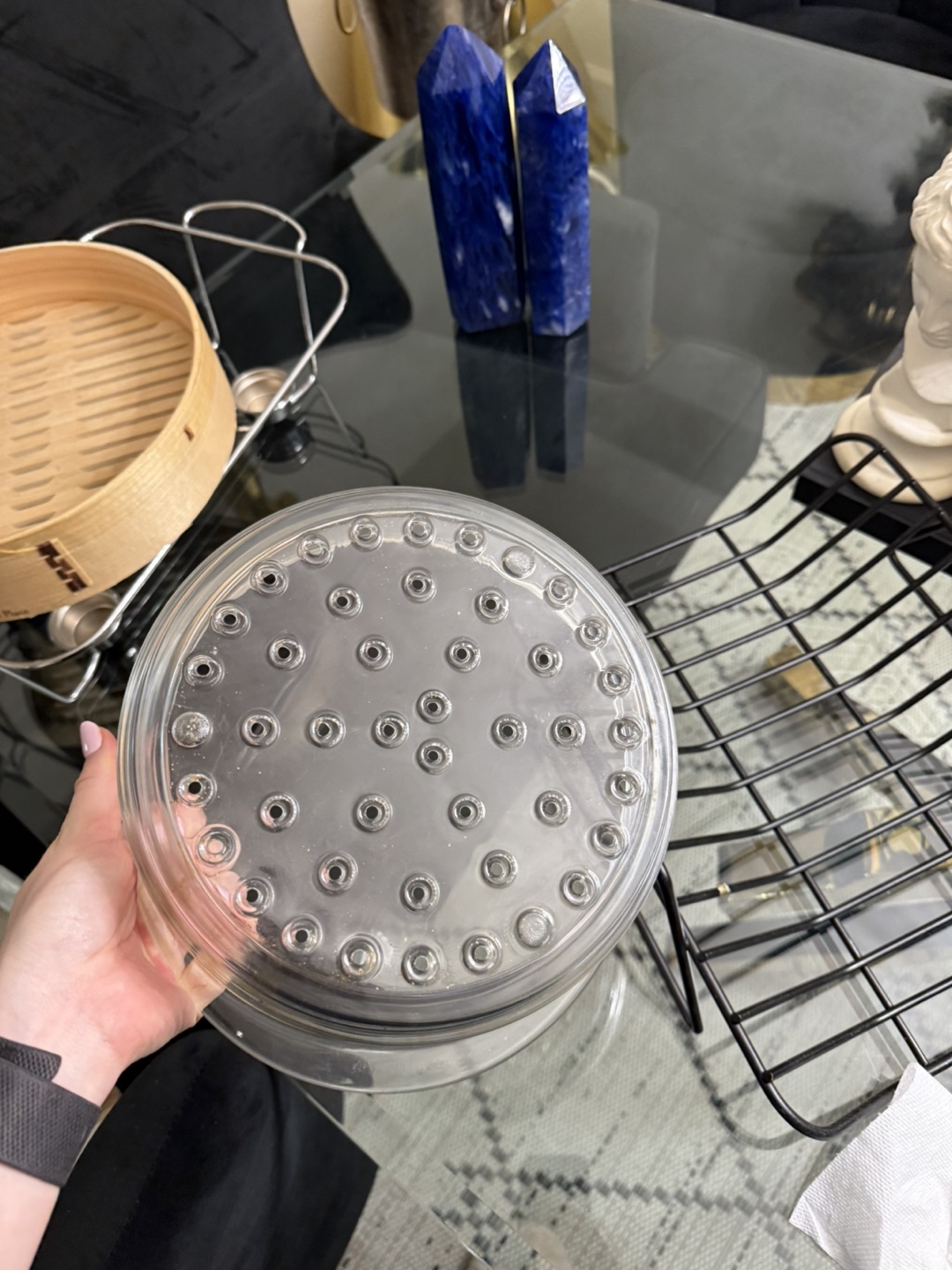 Steamer Insert